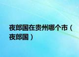 夜郎国在贵州哪个市（夜郎国）