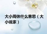 大小周休什么意思（大小说家）