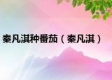秦凡淇种番茄（秦凡淇）