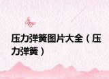 压力弹簧图片大全（压力弹簧）
