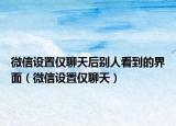 微信设置仅聊天后别人看到的界面（微信设置仅聊天）