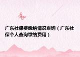 广东社保费缴纳情况查询（广东社保个人查询缴纳费用）
