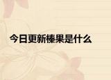 今日更新榛果是什么