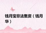 钱月宝非法集资（钱月华）