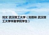 刘文 武汉理工大学（刘普林 武汉理工大学华夏学院学生）
