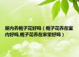 屋内养栀子花好吗（栀子花养在室内好吗,栀子花养在家里好吗）