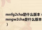 mnfg2cha是什么版本（mngw2cha是什么版本）