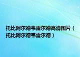 托比阿尔德韦雷尔德高清图片（托比阿尔德韦雷尔德）