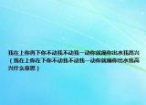 我在上你再下你不动我不动我一动你就痛你出水我高兴（我在上你在下你不动我不动我一动你就痛你出水我高兴什么意思）