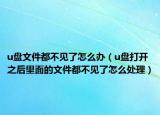 u盘文件都不见了怎么办（u盘打开之后里面的文件都不见了怎么处理）
