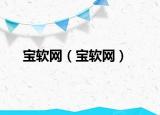 宝软网（宝软网）