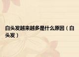 白头发越来越多是什么原因（白头发）