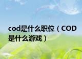 cod是什么职位（COD是什么游戏）