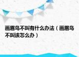 画眉鸟不叫有什么办法（画眉鸟不叫该怎么办）