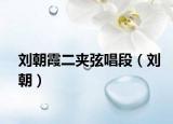 刘朝霞二夹弦唱段（刘朝）