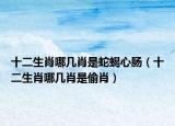 十二生肖哪几肖是蛇蝎心肠（十二生肖哪几肖是偷肖）