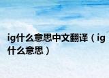ig什么意思中文翻译（ig什么意思）