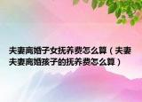 夫妻离婚子女抚养费怎么算（夫妻夫妻离婚孩子的抚养费怎么算）