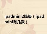 ipadmini2降级（ipadmini有几款）