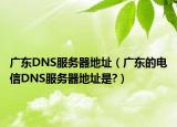 广东DNS服务器地址（广东的电信DNS服务器地址是?）