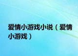 爱情小游戏小说（爱情小游戏）