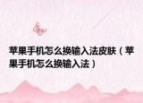 苹果手机怎么换输入法皮肤（苹果手机怎么换输入法）