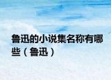 鲁迅的小说集名称有哪些（鲁迅）
