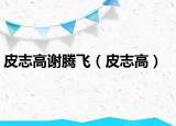 皮志高谢腾飞（皮志高）