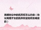 离婚协议中的抚养权怎么约定（协议离婚子女的抚养权是如何去确定的）