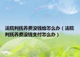 法院判抚养费没钱给怎么办（法院判抚养费没钱支付怎么办）