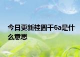 今日更新桂圆干6a是什么意思