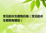 常见的水生植物价格（常见的水生植物有哪些）
