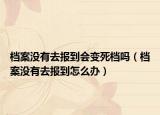 档案没有去报到会变死档吗（档案没有去报到怎么办）