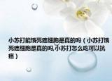 小苏打能饿死癌细胞是真的吗（小苏打饿死癌细胞是真的吗,小苏打怎么吃可以抗癌）