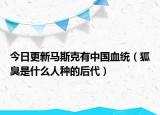 今日更新马斯克有中国血统（狐臭是什么人种的后代）
