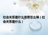 社会关系是什么意思怎么填（社会关系是什么）