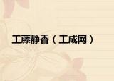 工藤静香（工成网）