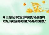 今日更新羽绒服灰鸭绒好还是白鸭绒好,羽绒服是鸭绒好还是鹅绒的好