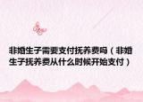 非婚生子需要支付抚养费吗（非婚生子抚养费从什么时候开始支付）