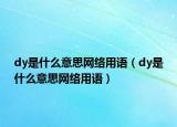 dy是什么意思网络用语（dy是什么意思网络用语）