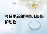 今日更新鼬獾是几级保护动物