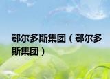 鄂尔多斯集团（鄂尔多斯集团）