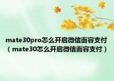 mate30pro怎么开启微信面容支付（mate30怎么开启微信面容支付）