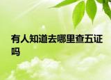有人知道去哪里查五证吗