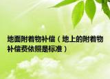 地面附着物补偿（地上的附着物补偿费依照是标准）