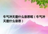 牛气冲天是什么意思呢（牛气冲天是什么意思）