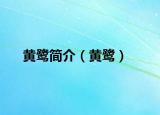 黄鹭简介（黄鹭）