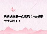 毛笔搓笔是什么意思（mb翅膀是什么牌子）