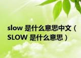 slow 是什么意思中文（SLOW 是什么意思）