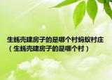 生蚝壳建房子的是哪个村蚂蚁村庄（生蚝壳建房子的是哪个村）